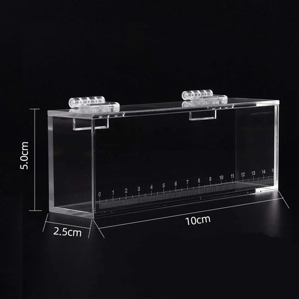 Portable Transparent Acrylic Fish Viewing Tank