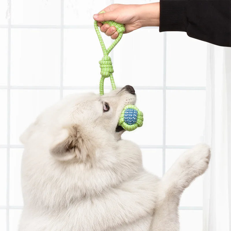Interactive Cotton Rope Dog Toys - Chewable Fun for Puppies and Dogs