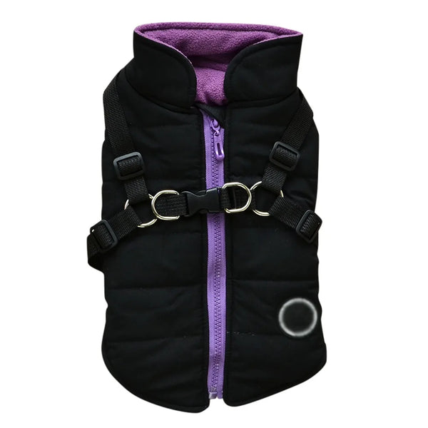 Waterproof Winter Pet Coat for Small & Medium Dogs