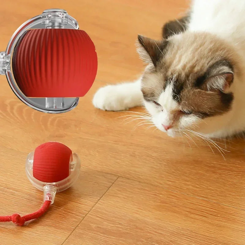 Electric Cat/Dog Ball Toys Automatic Rolling Ball