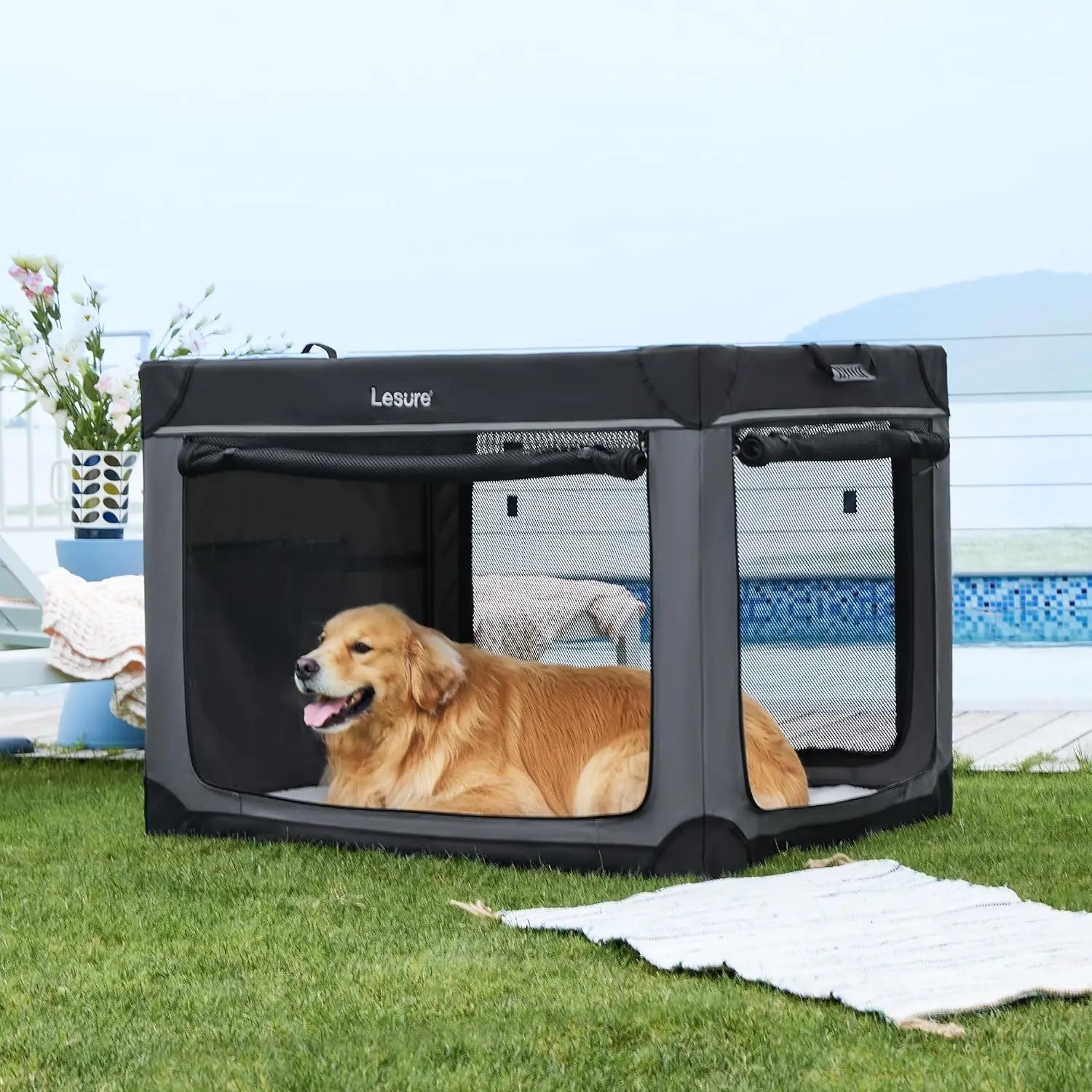 Soft Collapsible Dog Crate - 42" Portable Travel Crate for XL Dogs, 4-Door Foldable