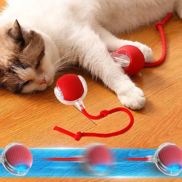 Electric Cat/Dog Ball Toys Automatic Rolling Ball