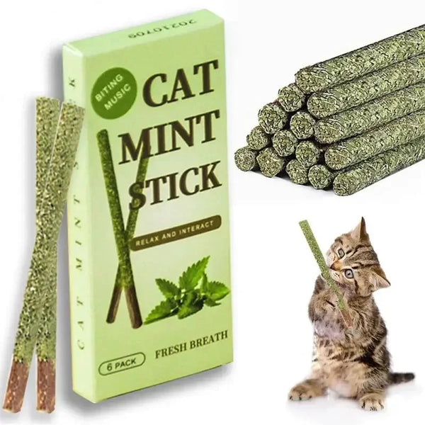 6pcs Natural Matatabi Cat Sticks - Silvervine Chew Treats for Cats