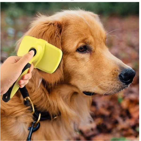 Auto Hair Clean Dog & Cat Brush