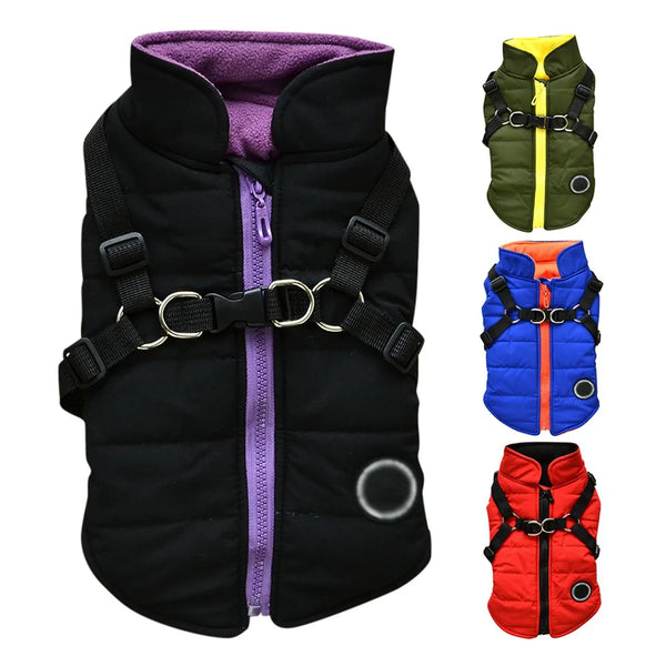 Waterproof Winter Pet Coat for Small & Medium Dogs