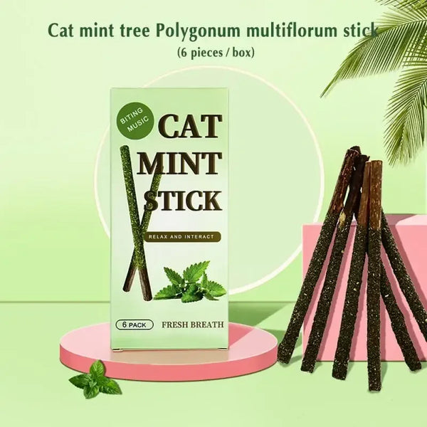 6pcs Natural Matatabi Cat Sticks - Silvervine Chew Treats for Cats