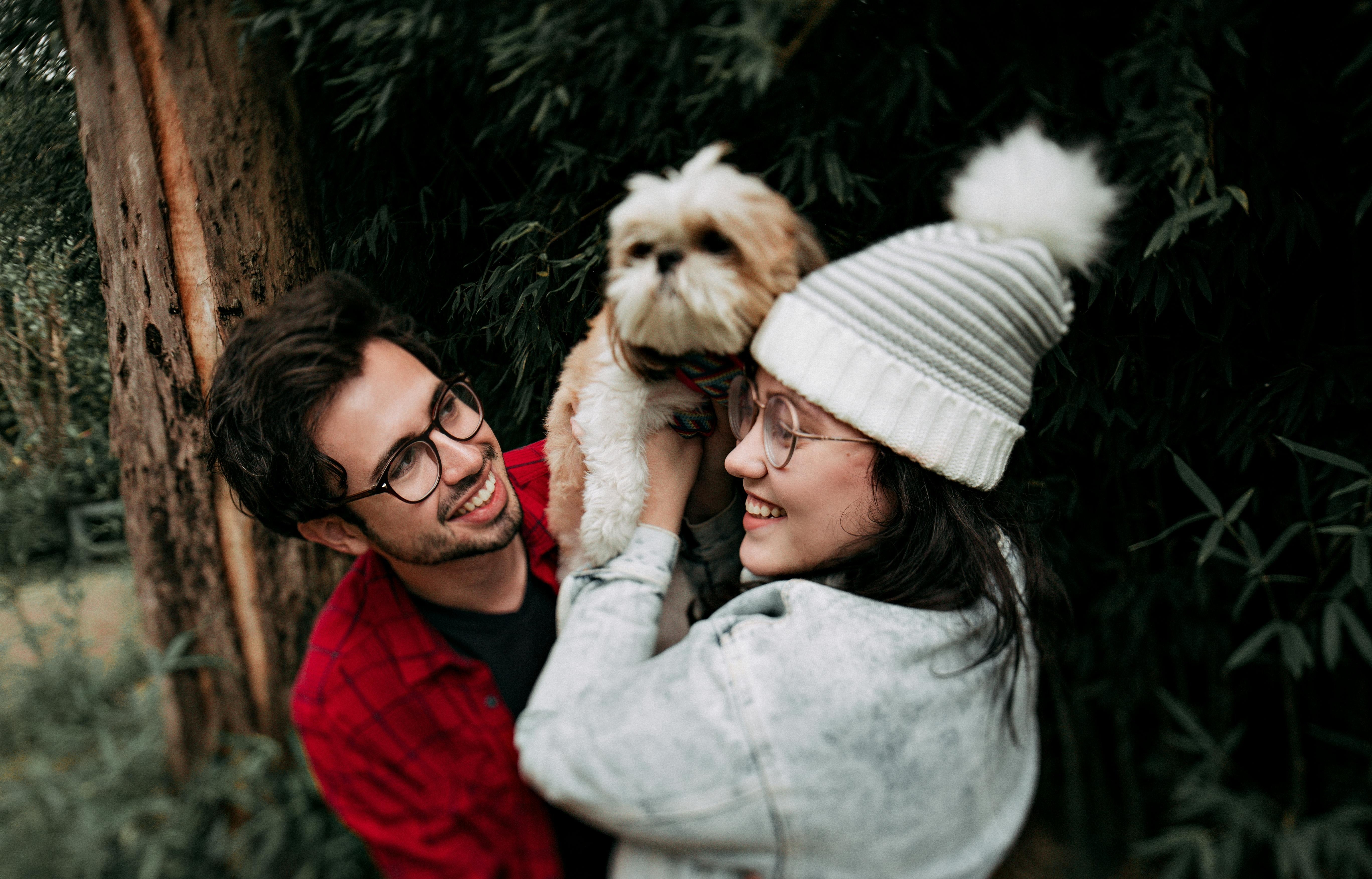 Welcome to Sharon's Feline Pet Place